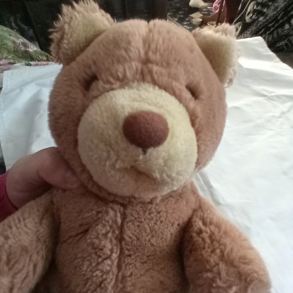 Dakin Teddy Bear Plush Brown Sitting 1984 Tush Tag Vintage Collectible